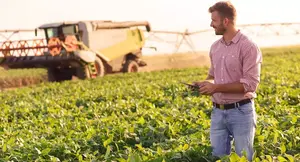 Gestor florestal observando uma área plantada de eucalipto
